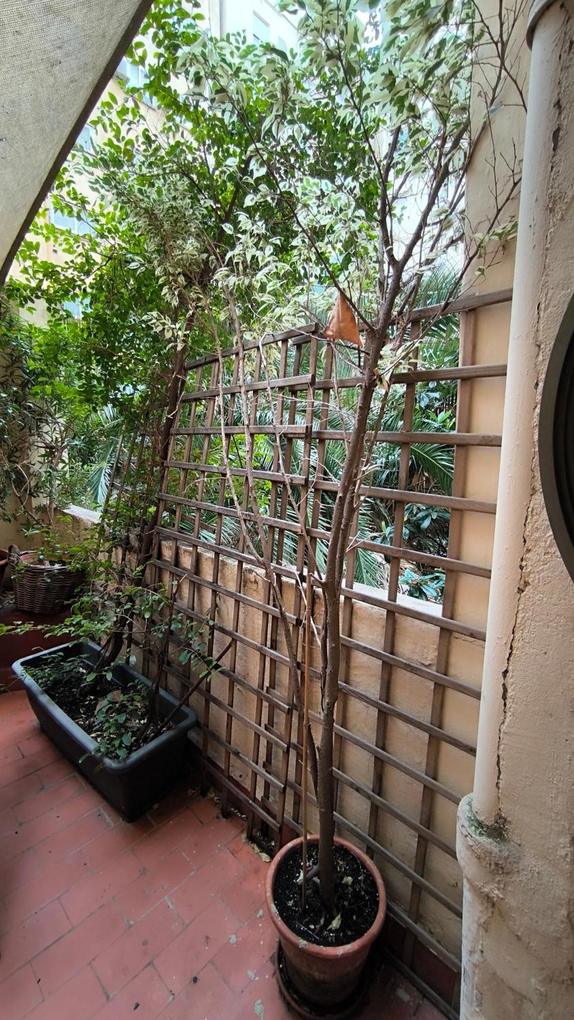 7 Moons B&B Valencia Exterior photo